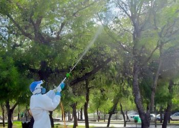 Ψεκασμοί κατά της κάμπιας με ειδικά αεροβόλα στο Δήμο