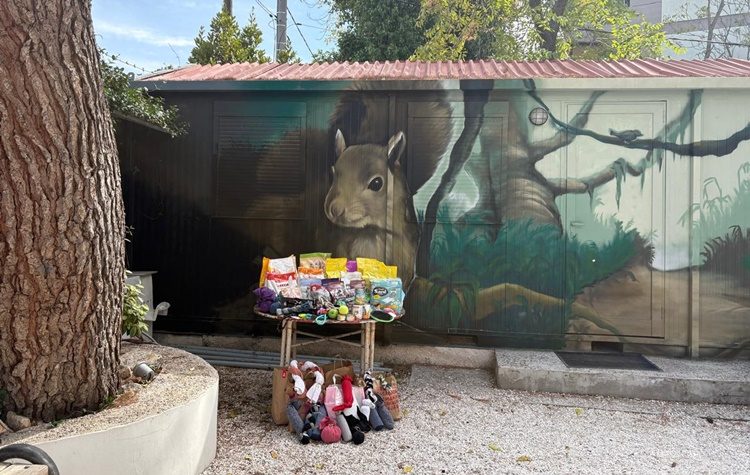 Σώμα Ελληνικού Οδηγισμού Κηφισιάς: Είδη πρώτης ανάγκης για τα αδέσποτα του Δήμου