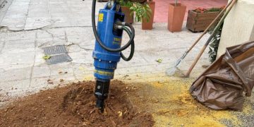 Αντικατάσταση παλαιών κορμών με νέα δέντρα από τον Δήμο