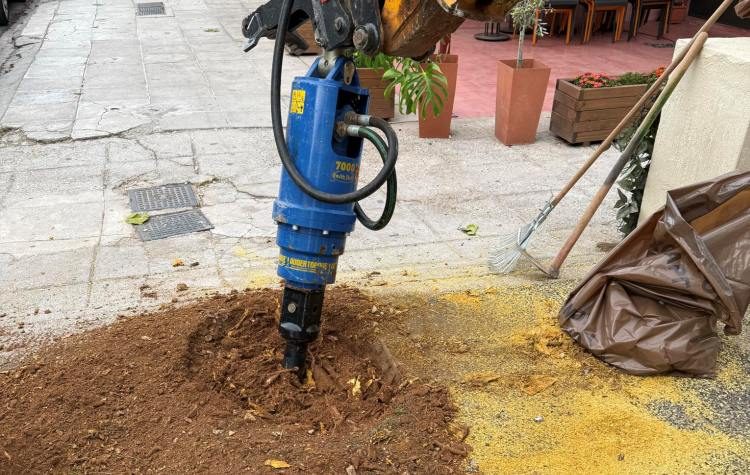 Αντικατάσταση παλαιών κορμών με νέα δέντρα από τον Δήμο