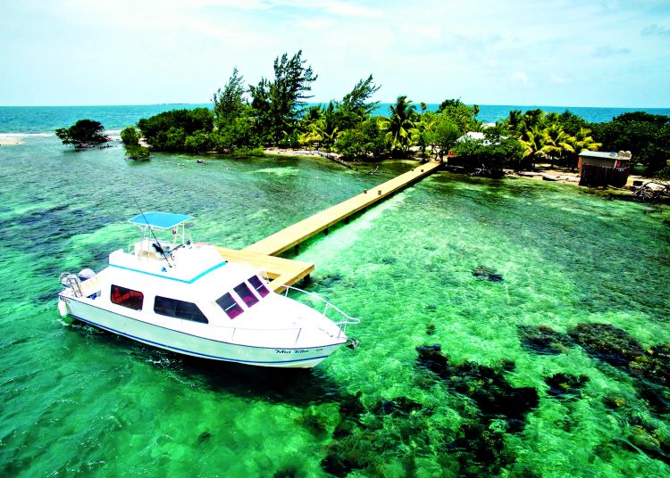 Φράνσις Φορντ Κόπολα: «Megalopolis»… χρέους