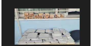 2o Γυμνάσιο Βριλησσίων: Μαθητές και εκπαιδευτικοί έκαναν τη διαφορά στηρίζοντας το Κοινωνικό Συσσίτιο του Δήμου