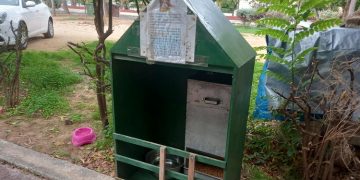 Απίστευτη θηριωδία: Περισσότερα από 30 γατιά δηλητηριάστηκαν με ποντικοφάρμακο