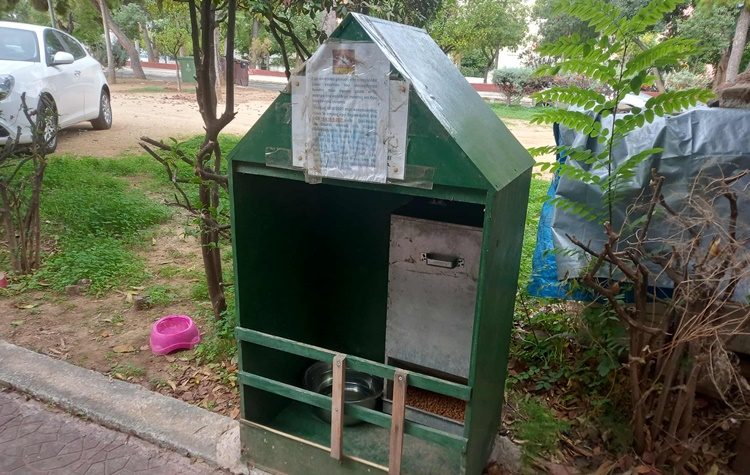 Απίστευτη θηριωδία: Περισσότερα από 30 γατιά δηλητηριάστηκαν με ποντικοφάρμακο