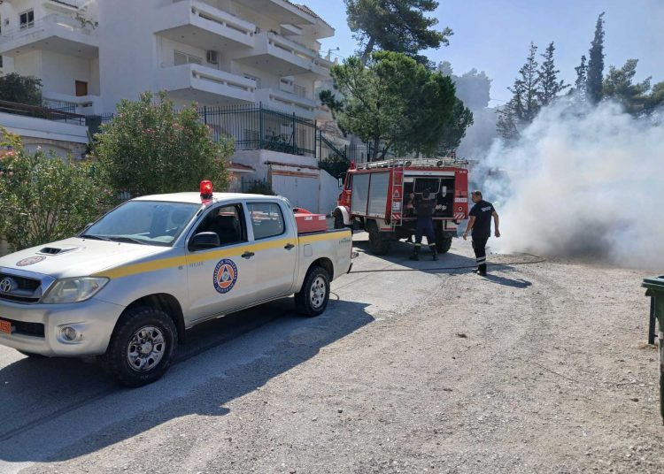 Ο απολογισμός του Δήμου Πεντέλης για τη φετινή αντιπυρική περίοδο