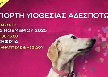 Μεγάλη Γιορτή Υιοθεσίας Αδέσποτων Ζώων το Σάββατο 15/11
