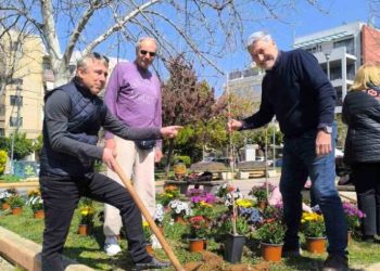 «Σύγχρονη Πολιτεία»: «Ραντεβού» νέας δεντροφύτευσης