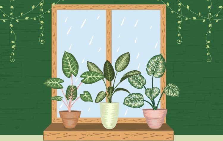 Δωρεάν online εκπαίδευση για την Κλιματική Αλλαγή & το Περιβάλλον στη Μεταμόρφωση