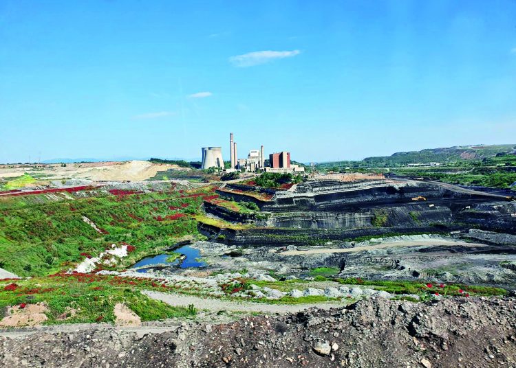 Ο αμοραλισμός στην ενέργεια