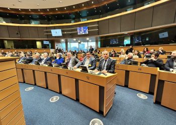 Στο Ευρωπαϊκό Κοινοβούλιο ο πρόεδρος και ο διευθύνων σύμβουλος της ΕΕΤΑΑ