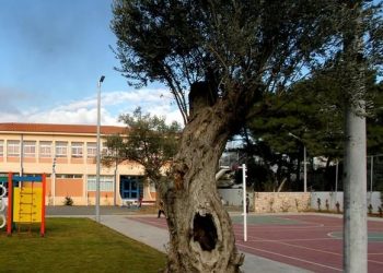 6o Δημοτικό Σχολείο Κηφισιάς: Δύο βραβεία σε Πανελλήνιο Διαγωνισμό Τραγουδιού & Βίντεο-Κλιπ