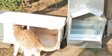 Μαρλέν Σβέρκου στην «Α»: «Να γίνουμε η φωνή των αδέσποτων»