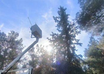 Επιτυχής διάσωση δύο γατών στο Άλσος Νέας Φιλαδέλφειας