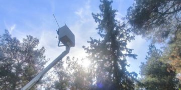 Επιτυχής διάσωση δύο γατών στο Άλσος Νέας Φιλαδέλφειας