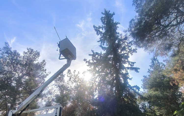 Επιτυχής διάσωση δύο γατών στο Άλσος Νέας Φιλαδέλφειας