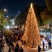 Η Νέα Ερυθραία άναψε το Χριστουγεννιάτικο Δέντρο της