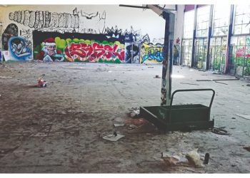 Το δάσος Συγγρού και οι κενές εξαγγελίες