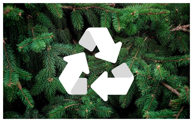 Συλλογή και κομποστοποίηση Χριστουγεννιάτικων δένδρων από τον Δήμο Πεντέλης