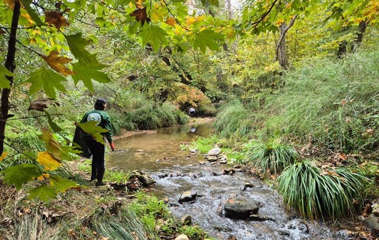 Νέα εθελοντική δράση καθαρισμού του ποταμού Κηφισού
