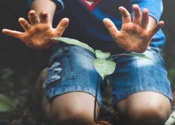 Στις 21/12 η 6η Δράση Εθελοντικής Δενδροφύτευσης στο Πεντελικό Όρος