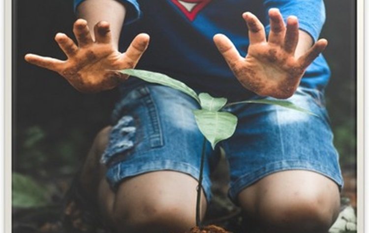 Στις 21/12 η 6η Δράση Εθελοντικής Δενδροφύτευσης στο Πεντελικό Όρος