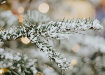 Φωταγώγηση του πρώτου Χριστουγεννιάτικου δέντρου με την Μαρία Κορινθίου