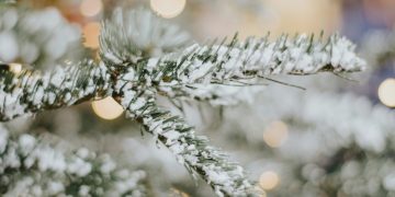 Φωταγώγηση του πρώτου Χριστουγεννιάτικου δέντρου με την Μαρία Κορινθίου