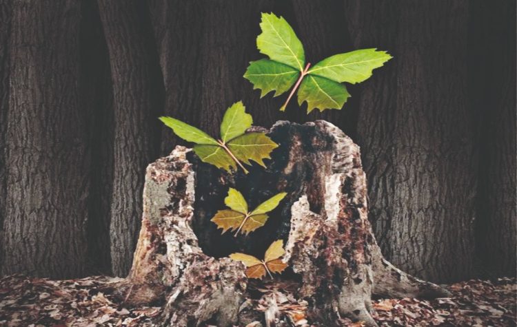 Όταν ήρθε η κρίση…