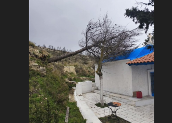  Απομακρύνθηκε καμένο δένδρο που είχε καταπέσει στην εκκλησία Αγ. Ιωάννη των Λατομείων