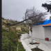  Απομακρύνθηκε καμένο δένδρο που είχε καταπέσει στην εκκλησία Αγ. Ιωάννη των Λατομείων