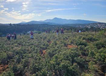 ΣΠΑΠ: Μεγάλη μαθητική συμμετοχή στην 1η δενδροφύτευση του 2026 στον Άγιο Στέφανο