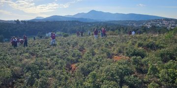 ΣΠΑΠ: Μεγάλη μαθητική συμμετοχή στην 1η δενδροφύτευση του 2026 στον Άγιο Στέφανο
