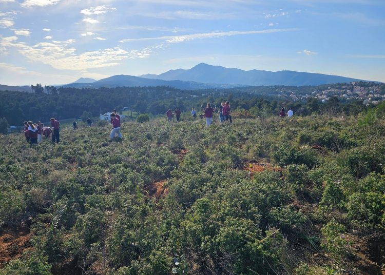 ΣΠΑΠ: Μεγάλη μαθητική συμμετοχή στην 1η δενδροφύτευση του 2026 στον Άγιο Στέφανο