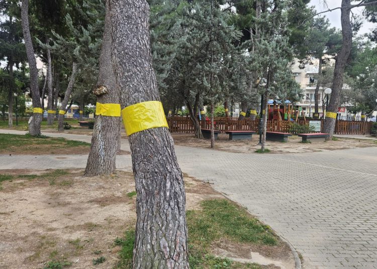 Αυτόματο προσχέδιο