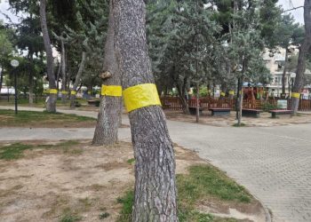 Αυτόματο προσχέδιο