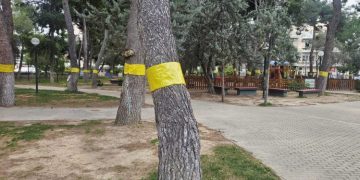 Αυτόματο προσχέδιο