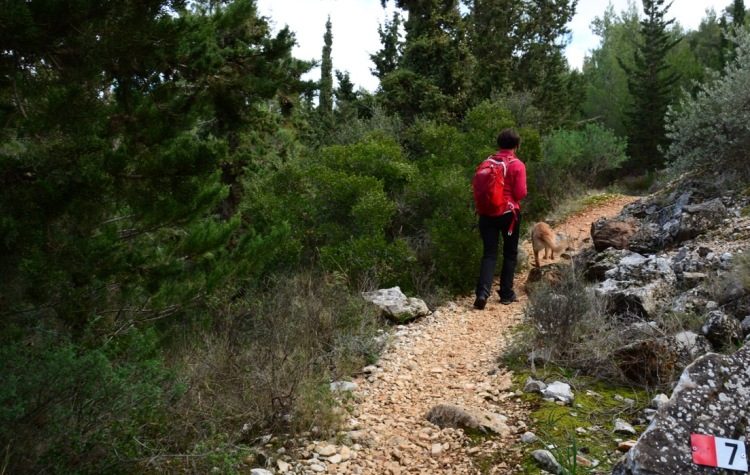 Μονοπάτι Υμηττού