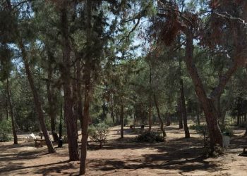 Επιτροπή για τον Υμηττό: Εκδήλωση ενημέρωσης και διεκδίκησης