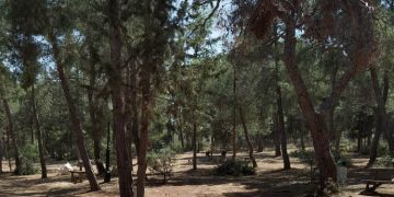 Επιτροπή για τον Υμηττό: Εκδήλωση ενημέρωσης και διεκδίκησης