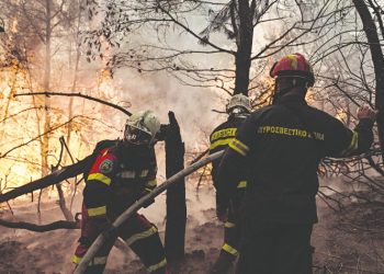 Οι δασικές πυρκαγιές, η προστασία των οικισμών και η θεσμική ευθύνη της δασικής πολιτικής