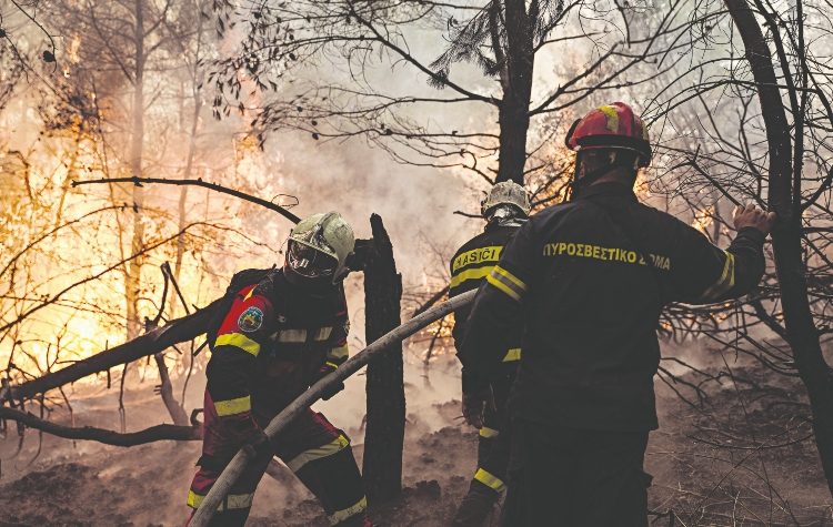 Οι δασικές πυρκαγιές, η προστασία των οικισμών και η θεσμική ευθύνη της δασικής πολιτικής