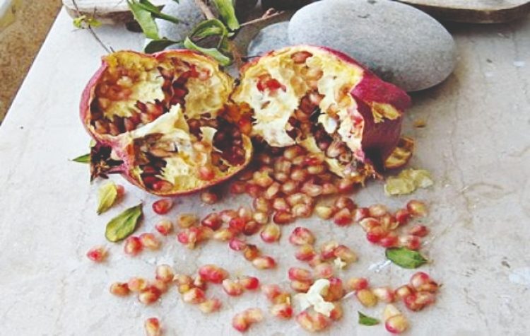 Νοσταλγικές ώρες Χριστουγέννων και Πρωτοχρονιάς, στη Λέσβο