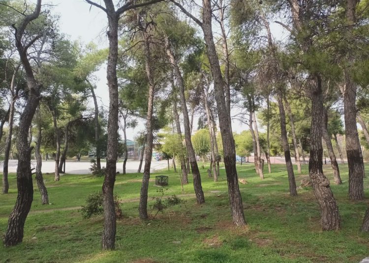 «Συμμαχία για την Ανατροπή» για ανάπλαση «Αρίωνα»: «Ολημερίς την έχτιζαν, το βράδυ γκρεμιζόταν»