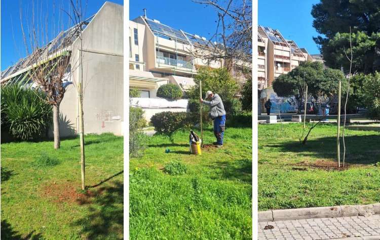 «Ένεση» πρασίνου από τον Δήμο στο Ηλιακό Χωριό