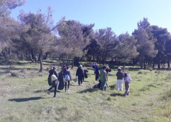 Δράση καθαρισμού μαθητών του 7ου Δημοτικού Σχολείου Κηφισιάς στο Δάσος Κεφαλαρίου