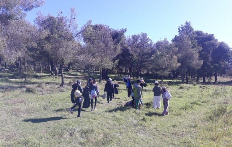 Δράση καθαρισμού μαθητών του 7ου Δημοτικού Σχολείου Κηφισιάς στο Δάσος Κεφαλαρίου