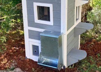 «Σπίτια» σίτισης και προστασίας από τον Δήμο για αδέσποτα ζώα