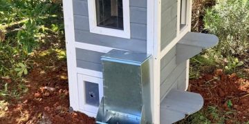 «Σπίτια» σίτισης και προστασίας από τον Δήμο για αδέσποτα ζώα