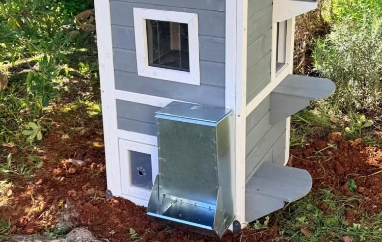 «Σπίτια» σίτισης και προστασίας από τον Δήμο για αδέσποτα ζώα