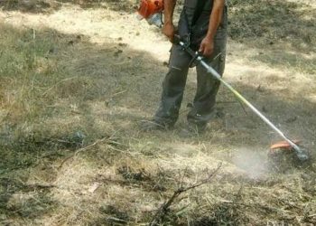 Δήμος Αμαρουσίου: Υποχρεωτικός καθαρισμός οικοπέδων και ακάλυπτων από 1 Απριλίου έως 15 Ιουνίου και συντήρηση έως 31 Οκτωβρίου